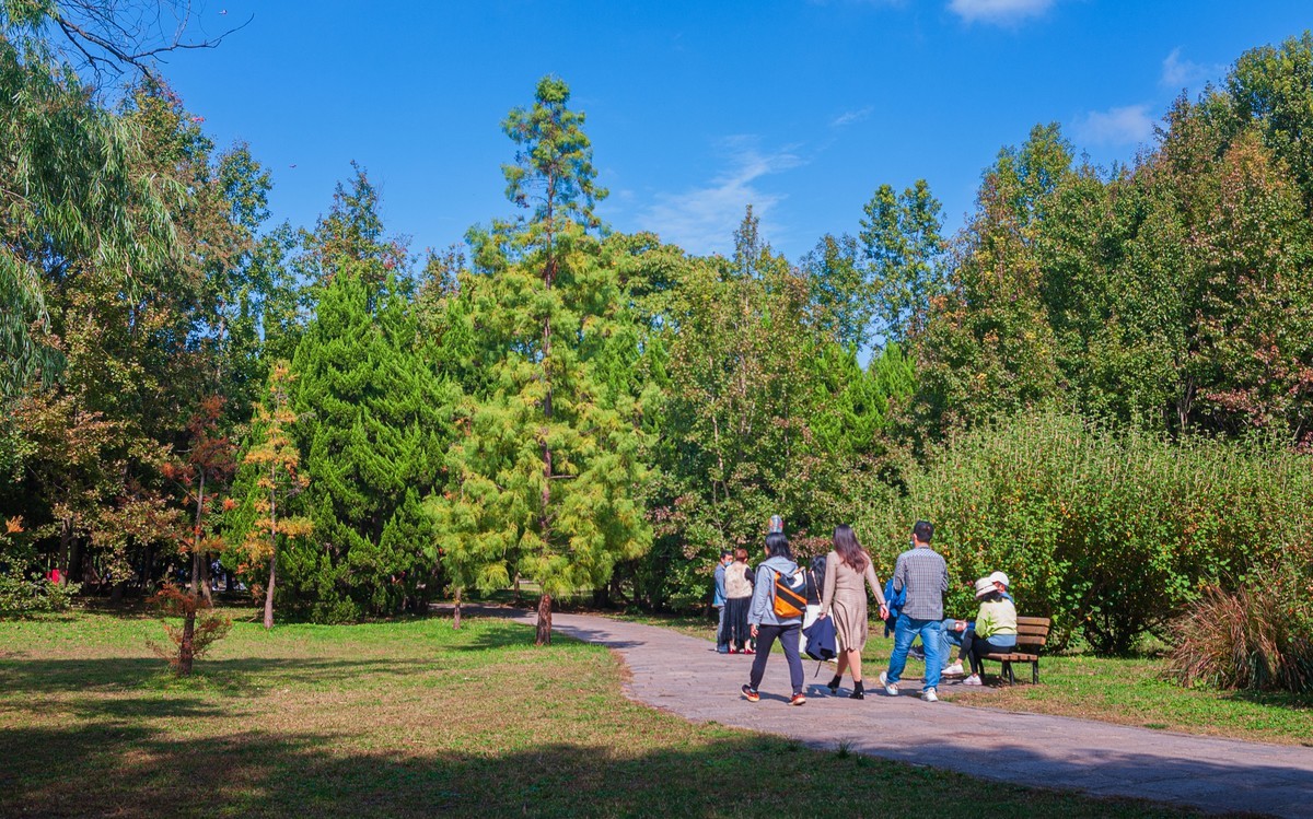 共青城森林公园