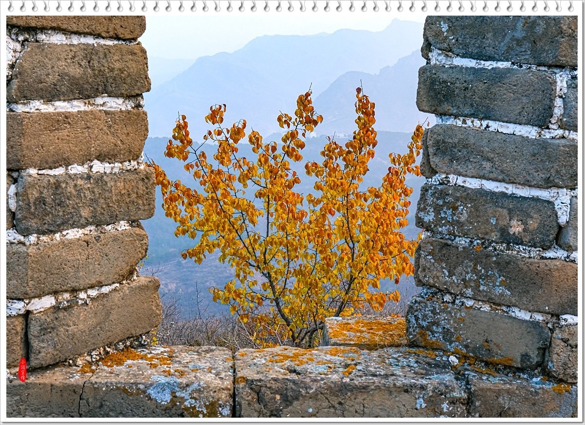 2024年- 金山岭长城风光抓拍-1066