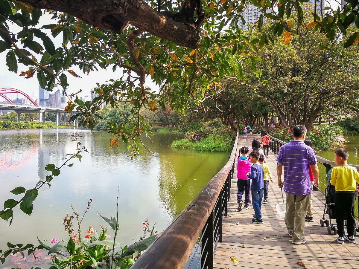 2020洪湖公园-旅游攻略-门票-地址-问答-游记点评，深圳旅游旅游景点推荐-去哪儿攻略