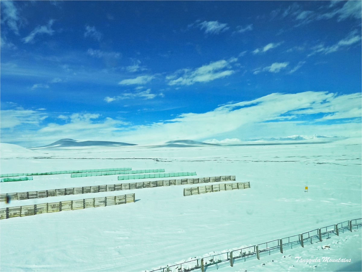 唐古拉山雪茫茫