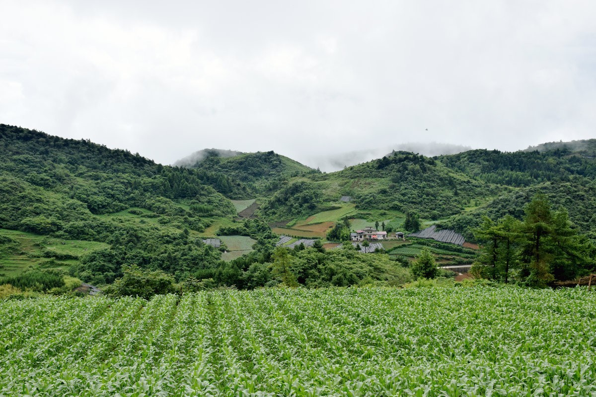 2023夏 黔赣鄂渝川（197）利川天上坪风电场