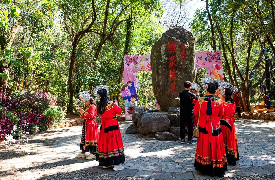 2024年3月、云南之行。大理、《蝴蝶泉》