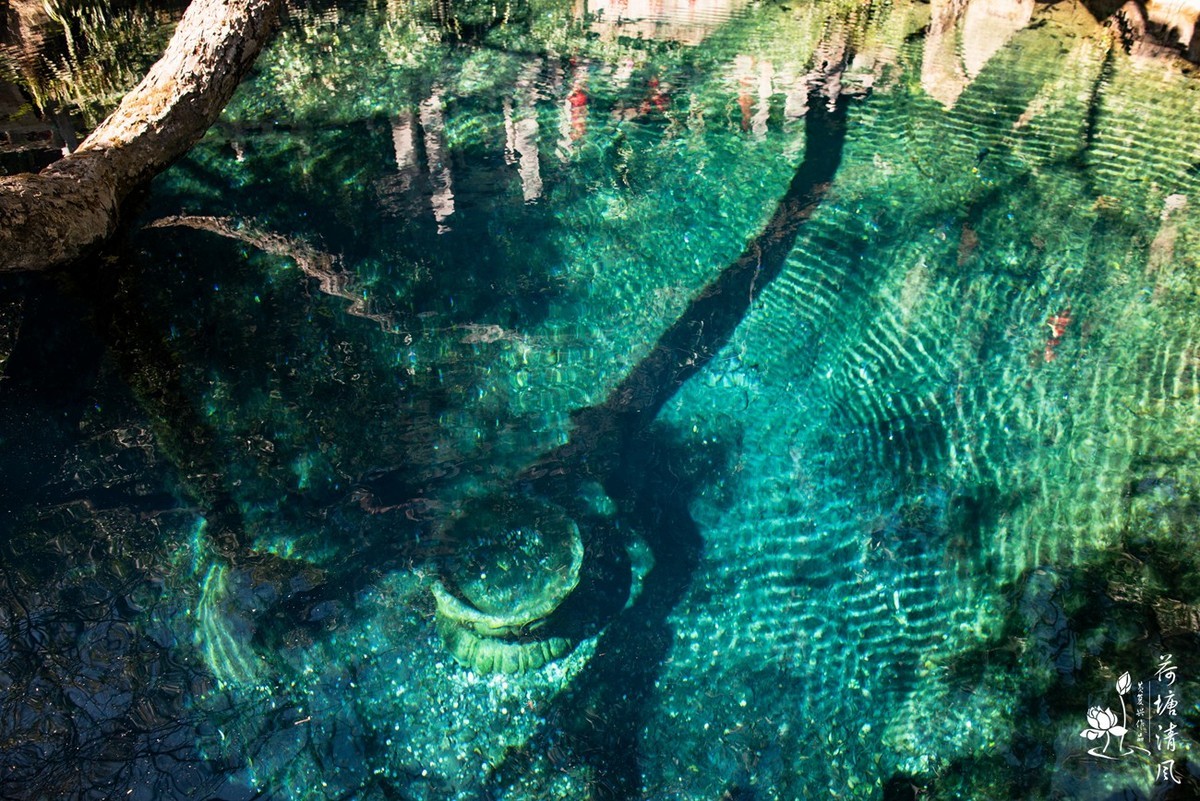 2024年3月、云南之行。大理、《蝴蝶泉》