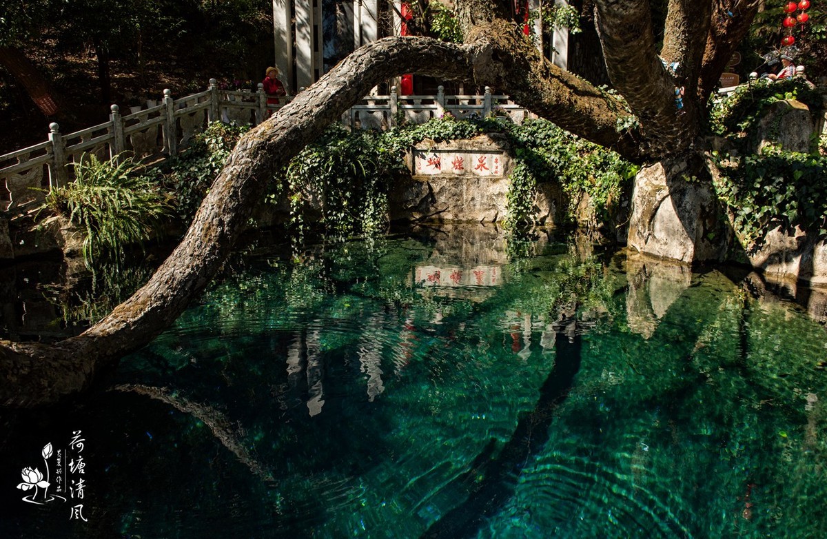 2024年3月、云南之行。大理、《蝴蝶泉》