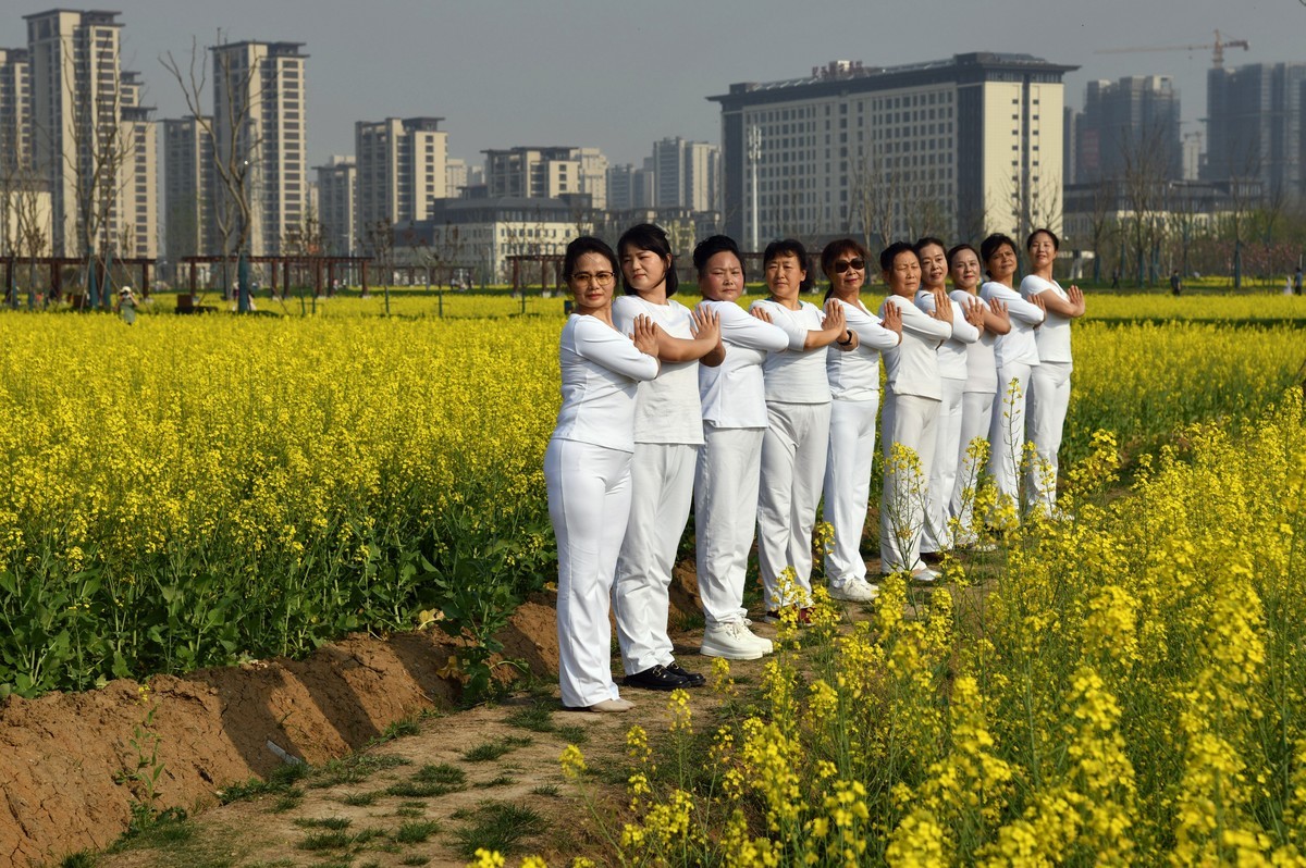 菜花田间练瑜伽功