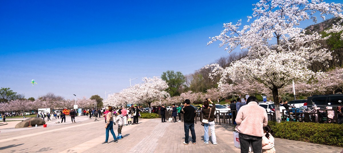 幕府山风景区随拍