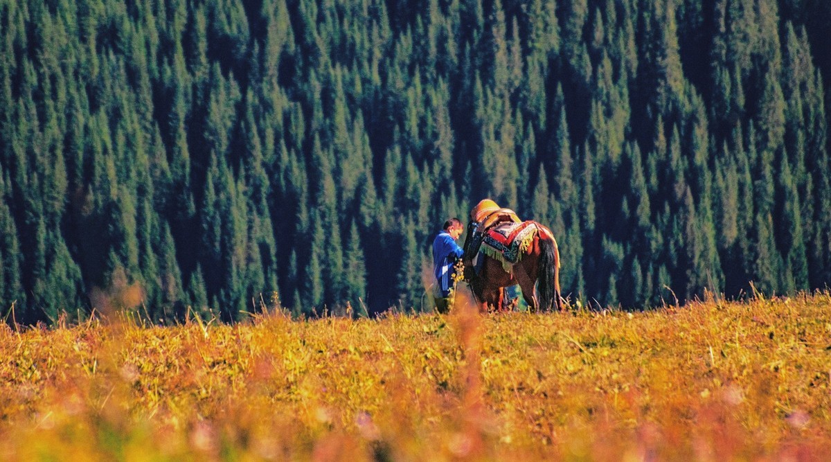西行漫记一一去看那草原海