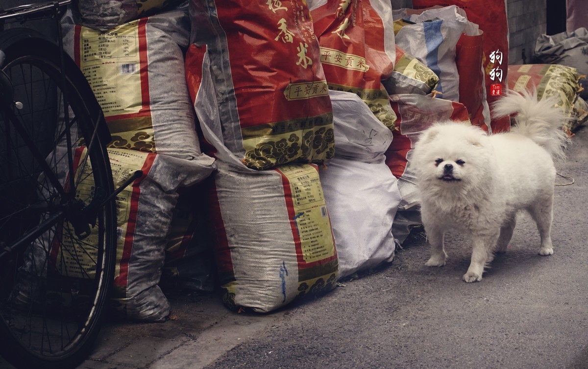 有人就有故事 街头杂拍
