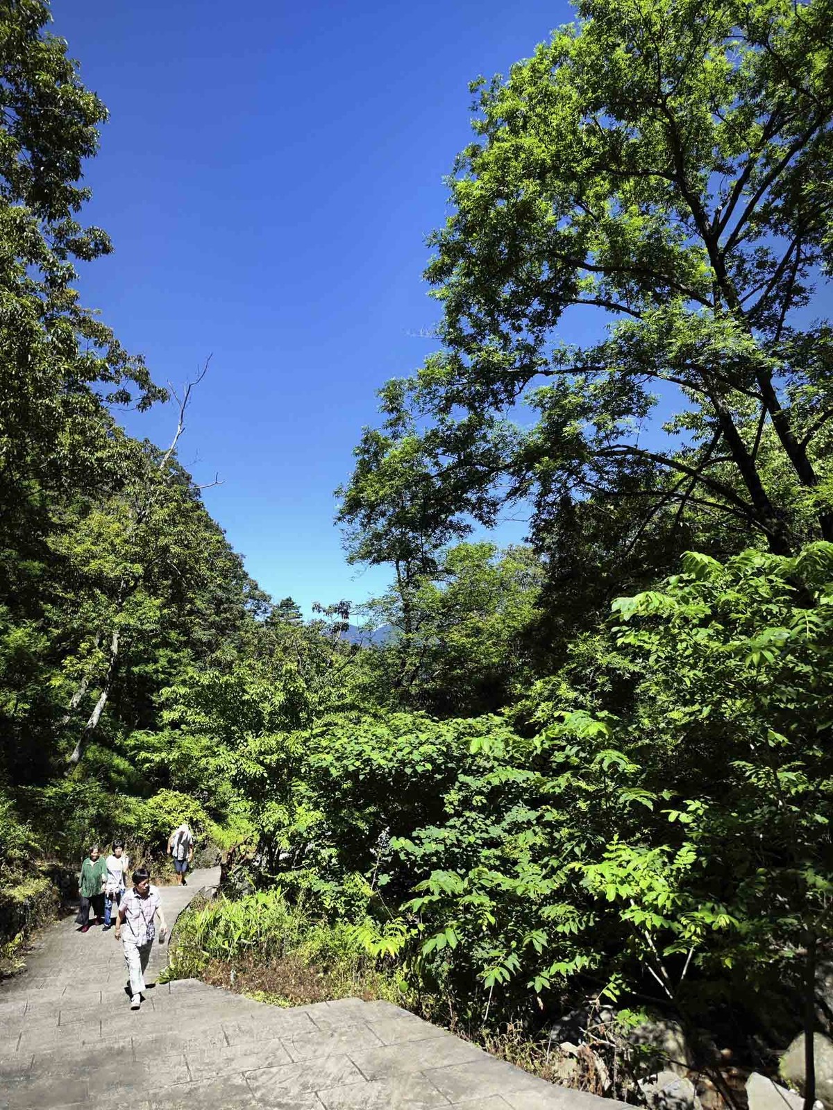 浙江............安吉浙北大峡谷