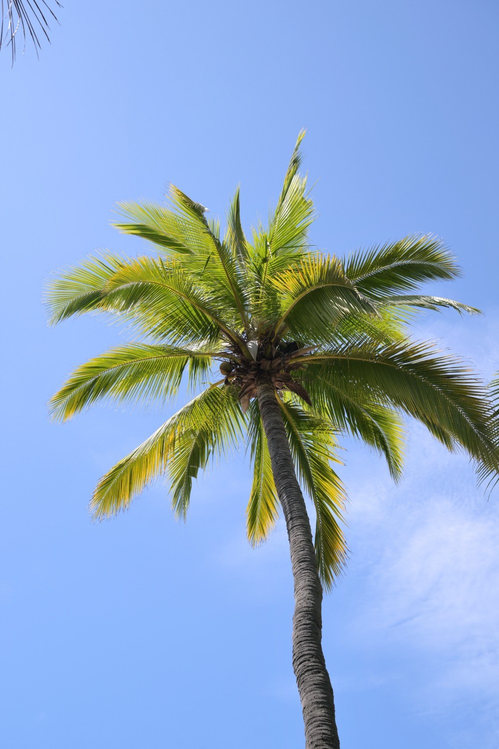 三亚大小洞天（B）