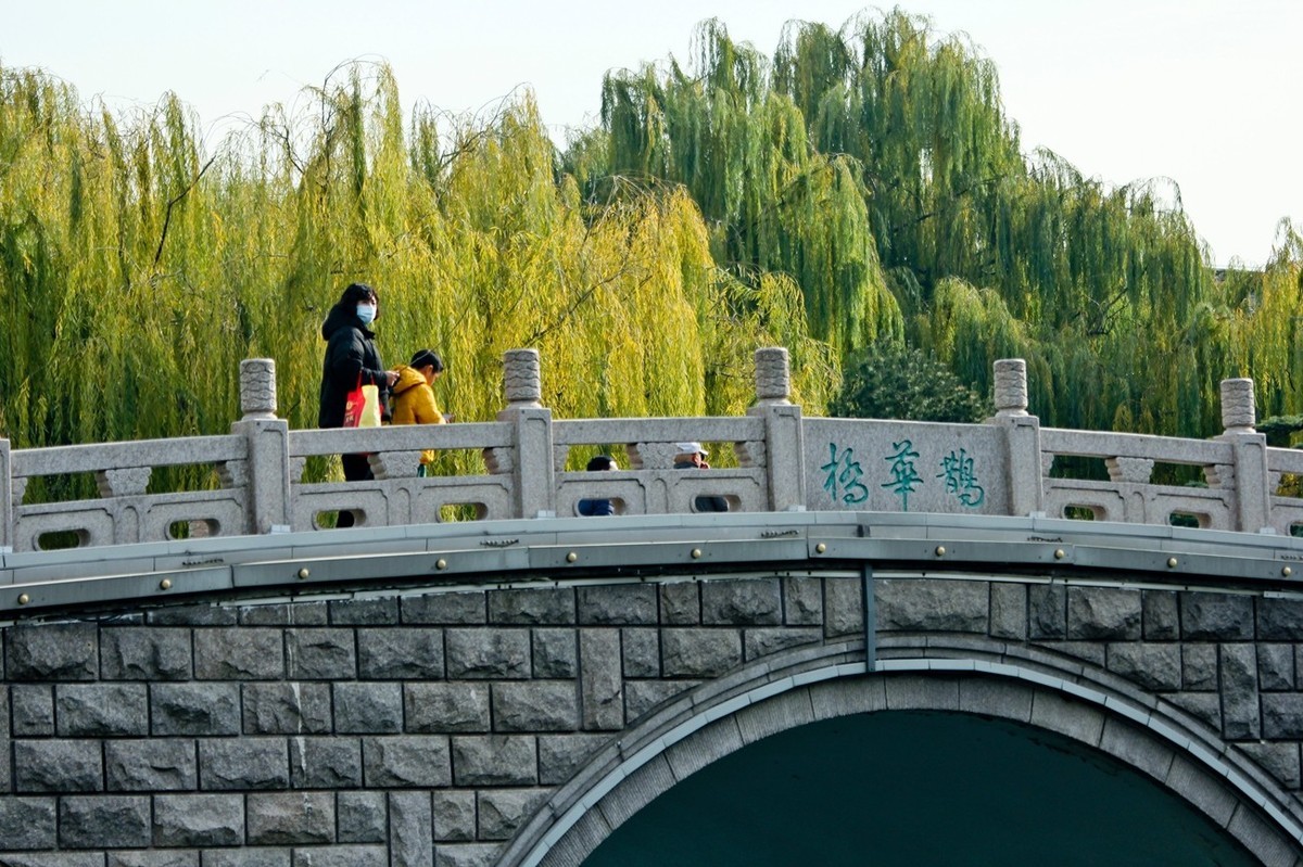 初冬——明湖杂拍