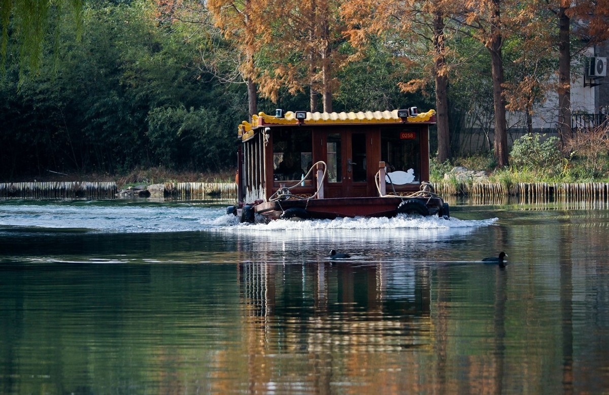 初冬——明湖杂拍