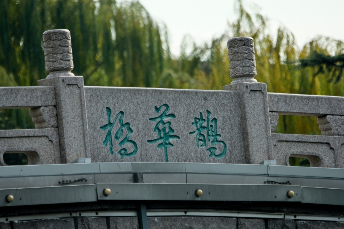 初冬——明湖杂拍