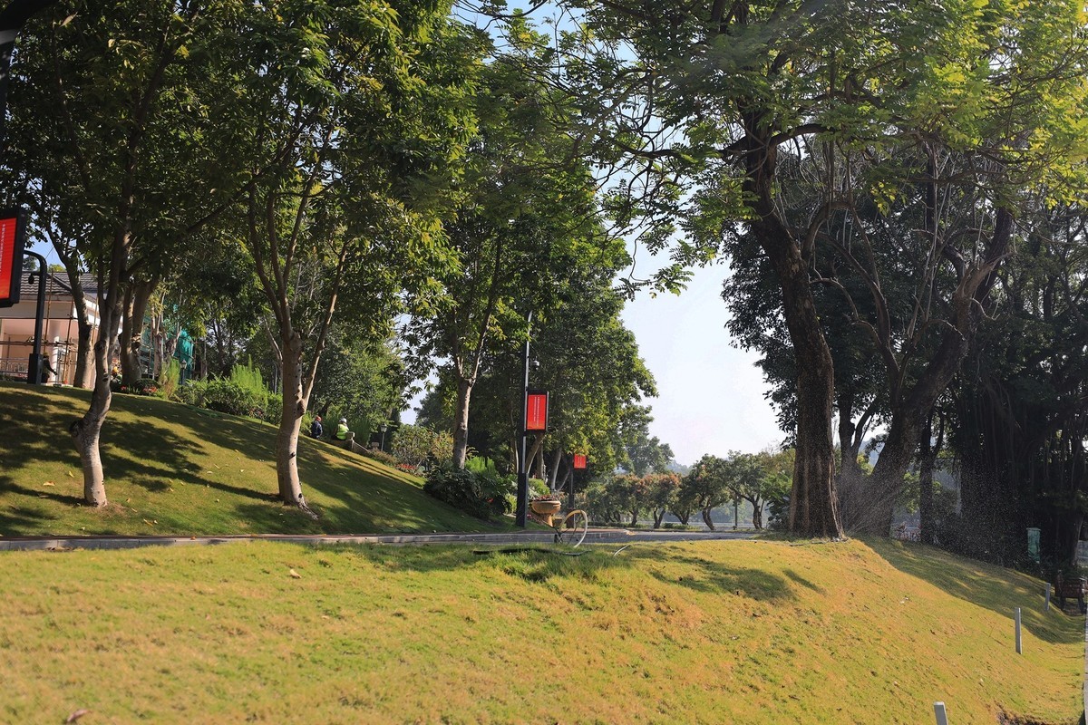 深圳人才研学院--2