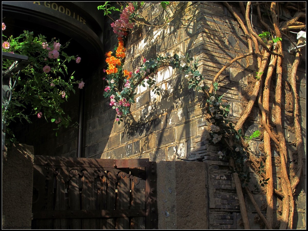 南京老门东历史文化街区