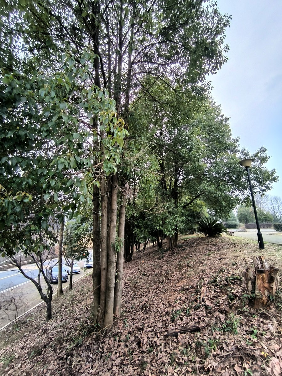 漫步星城 走街串巷（653）滴水埠膏盐矿