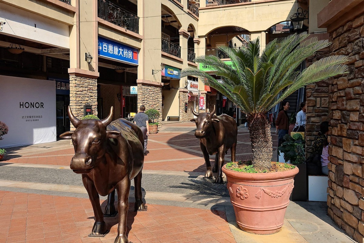 光谷步行街试机