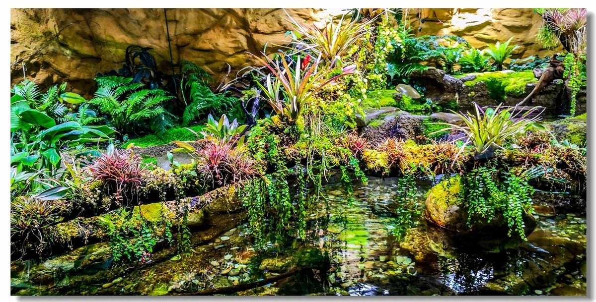 巴塞尔之“动物园”