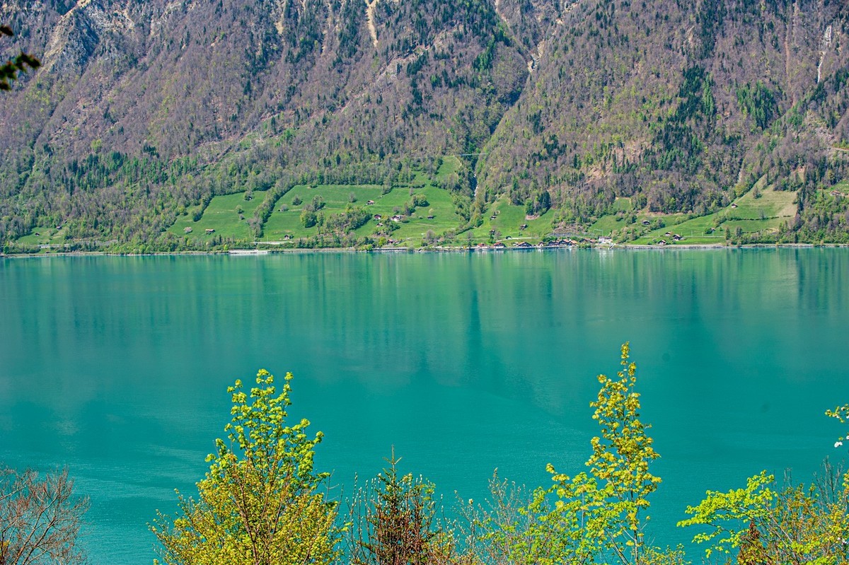 湖摄（瑞士“因特拉肯”）