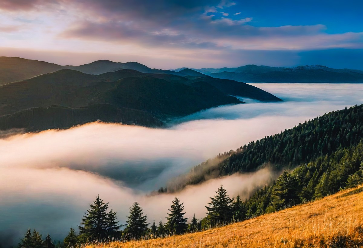 自然美的宁静与温暖