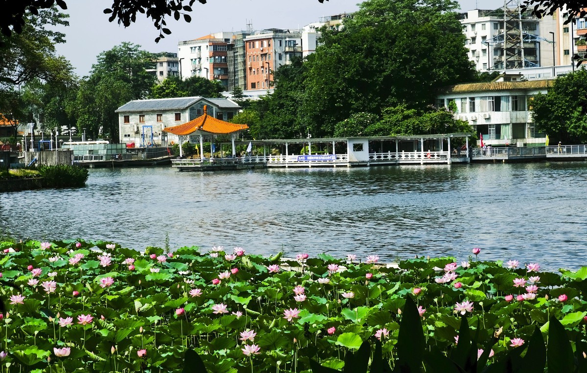 荔湾湖公园（二）