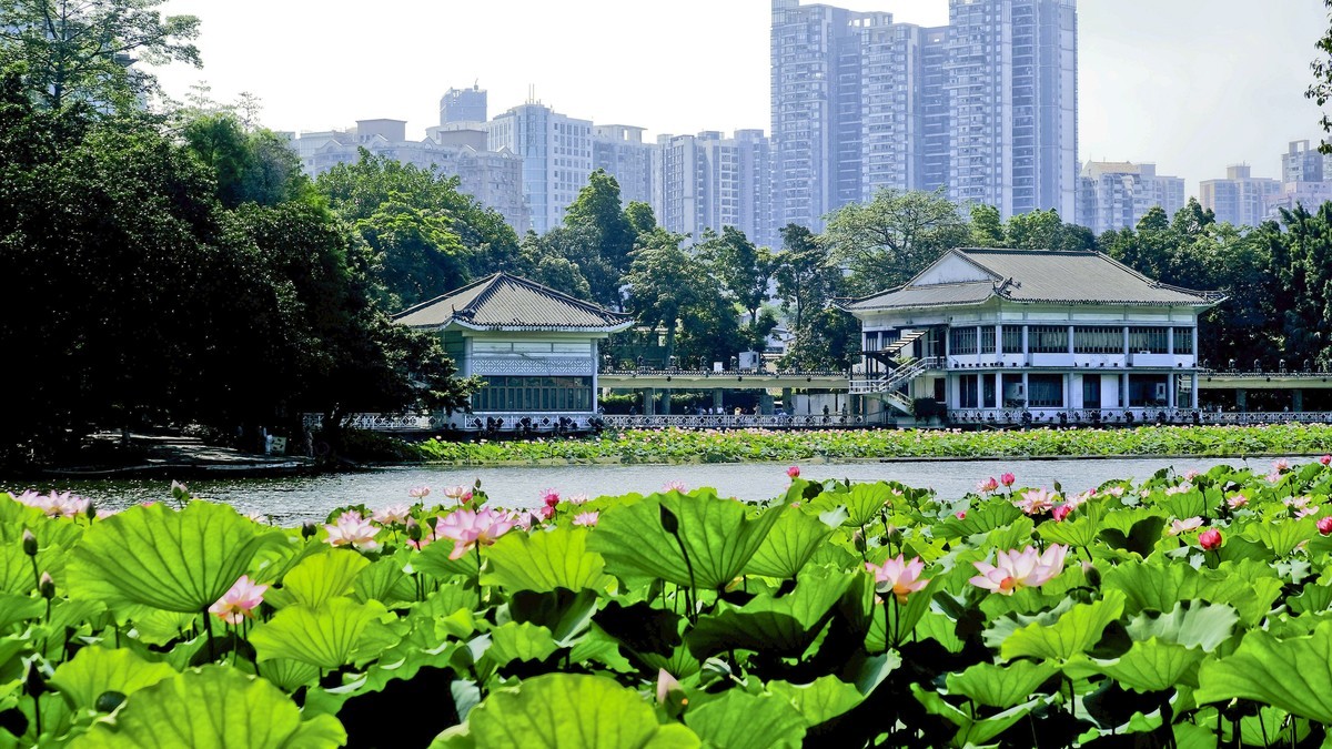 荔湾湖公园