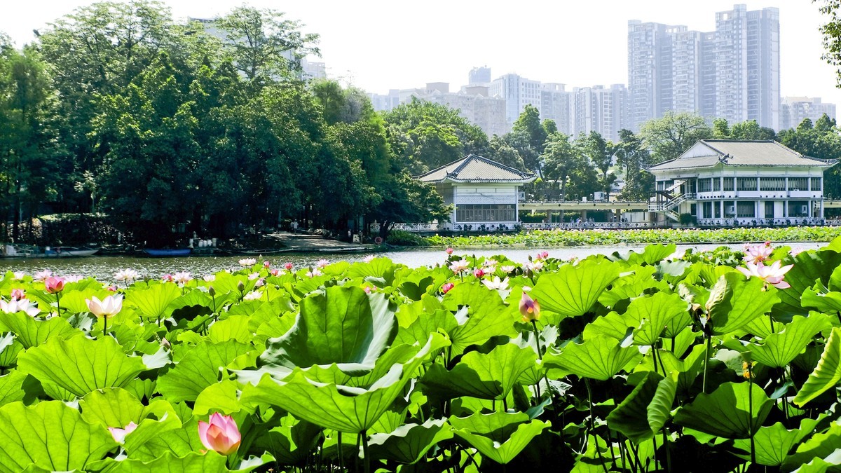 荔湾湖公园