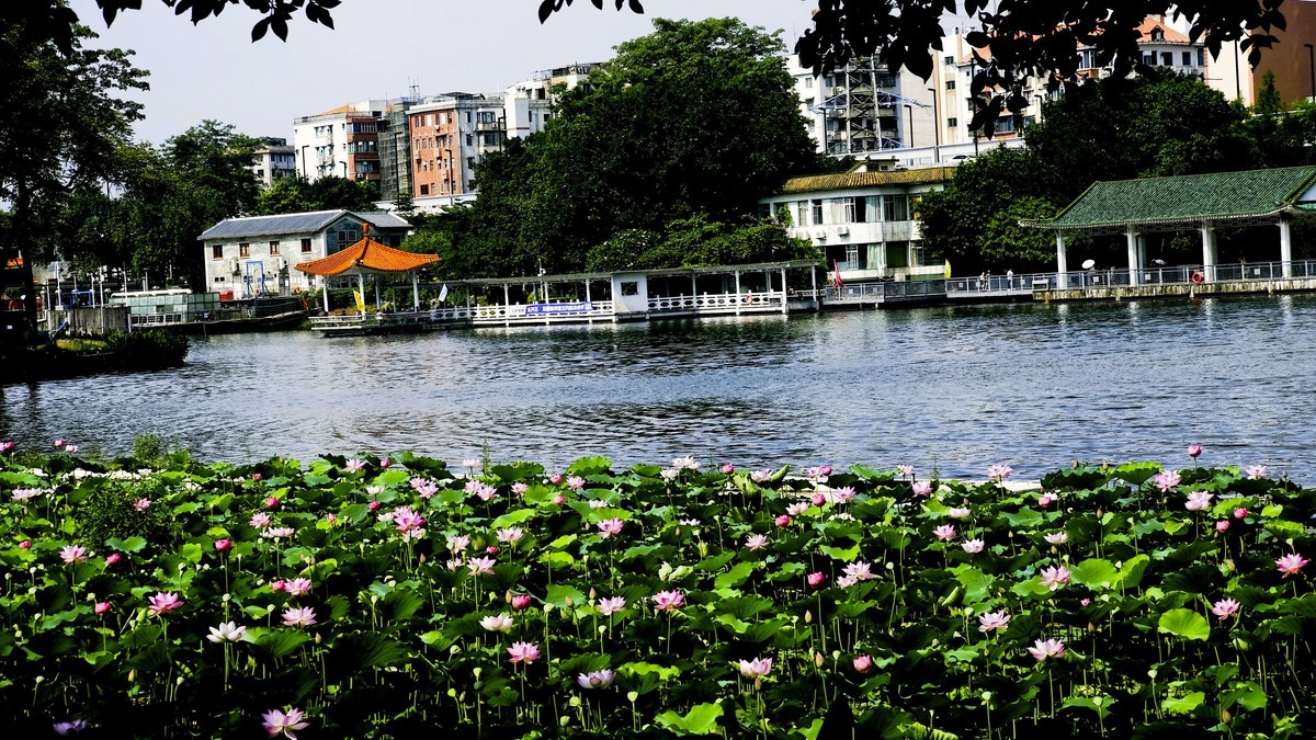 荔湾湖公园（二）