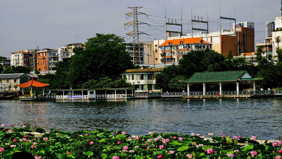 荔湾湖公园（二）