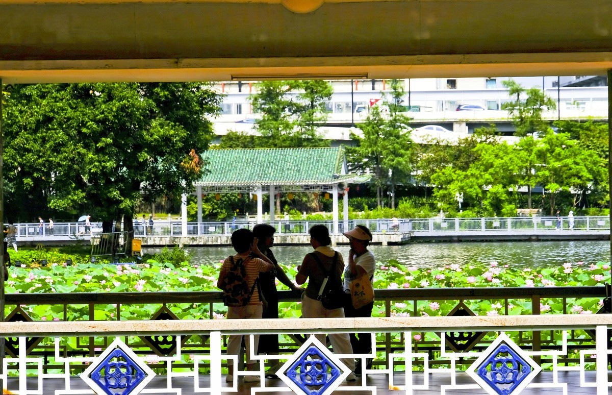 荔湾湖公园（二）