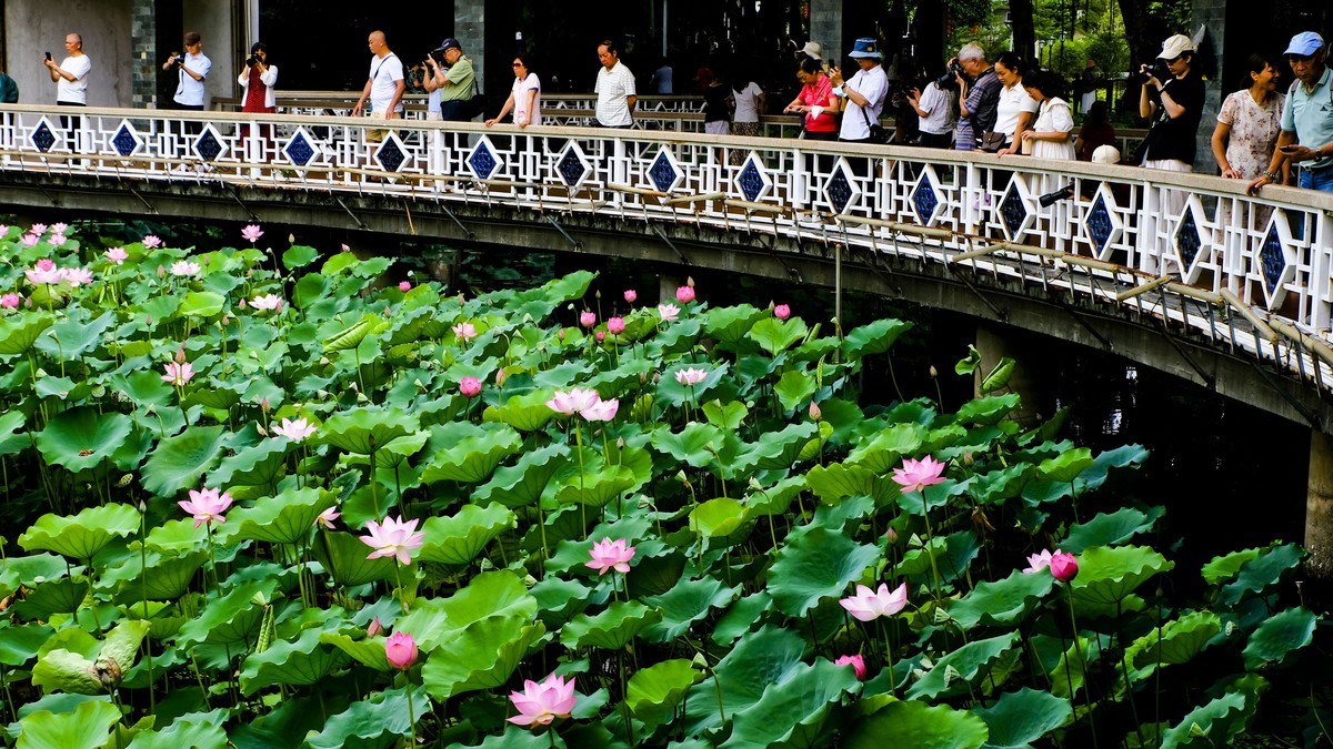 荔湾湖公园（二）