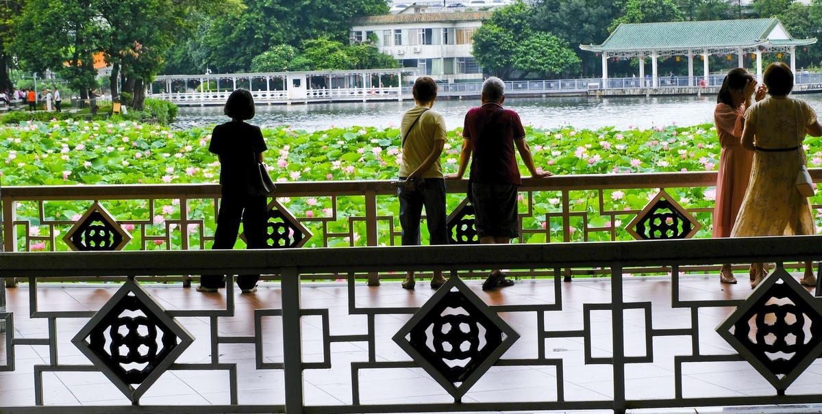 荔湾湖公园（二）