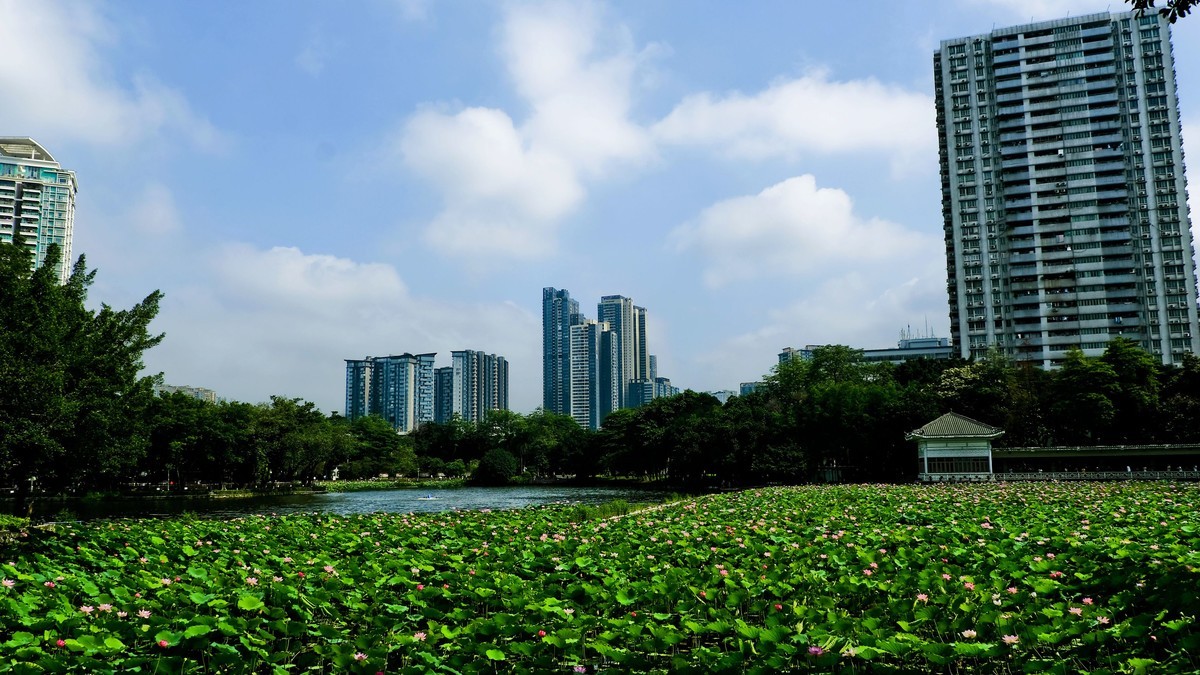 荔湾湖公园（三）