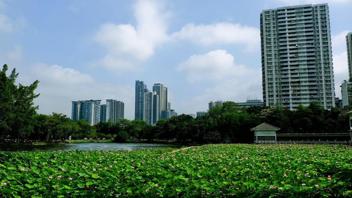 荔湾湖公园（三）