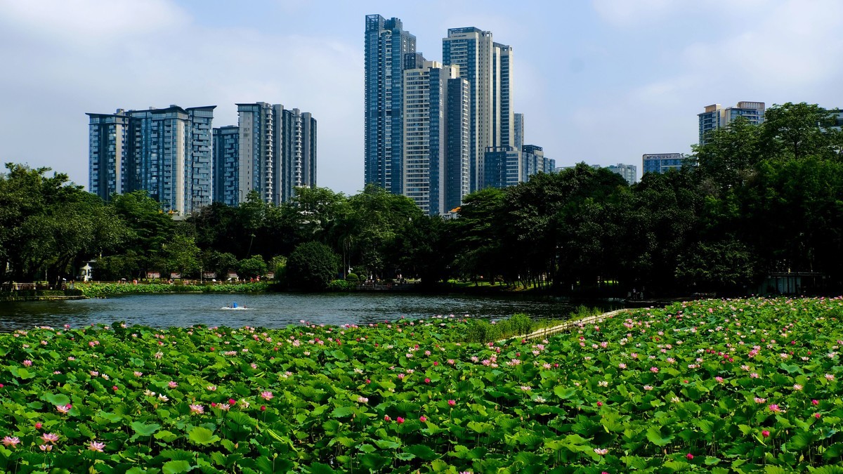 荔湾湖公园（三）