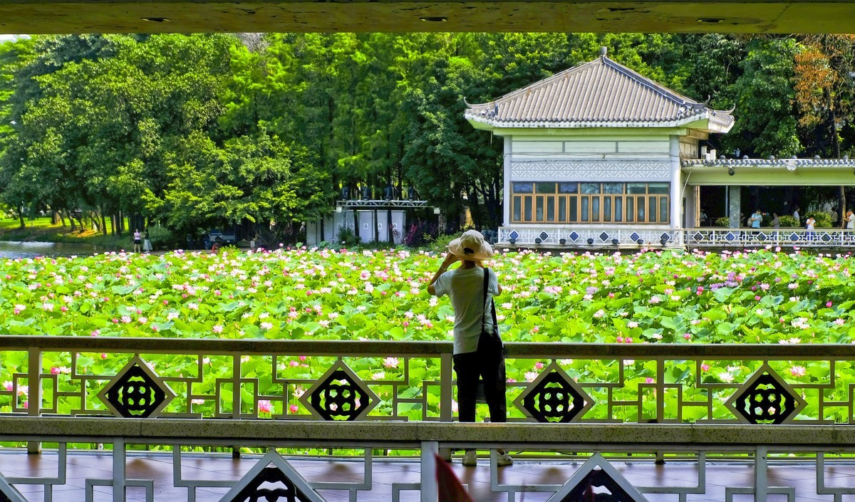 荔湾湖公园（三）