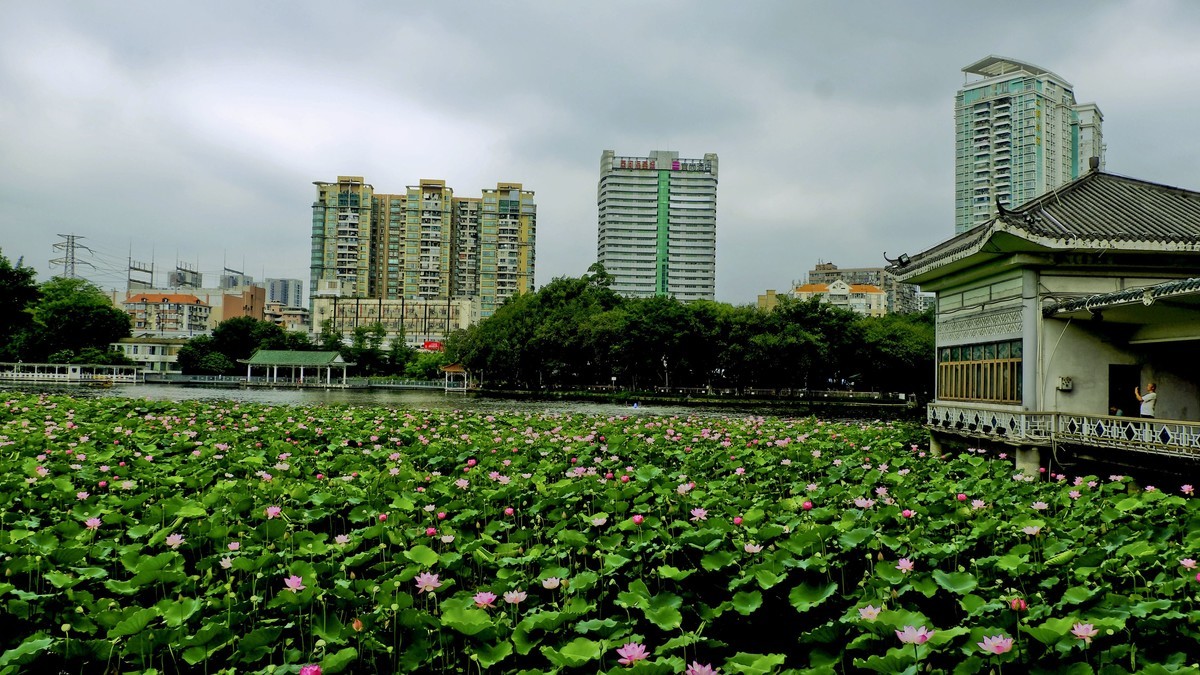 荔湾湖公园（三）