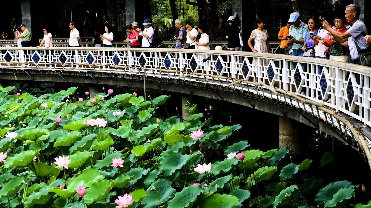 荔湾湖公园（三）