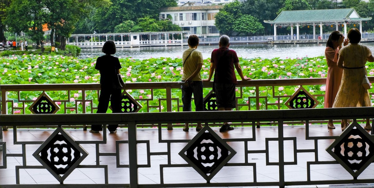 荔湾湖公园（三）