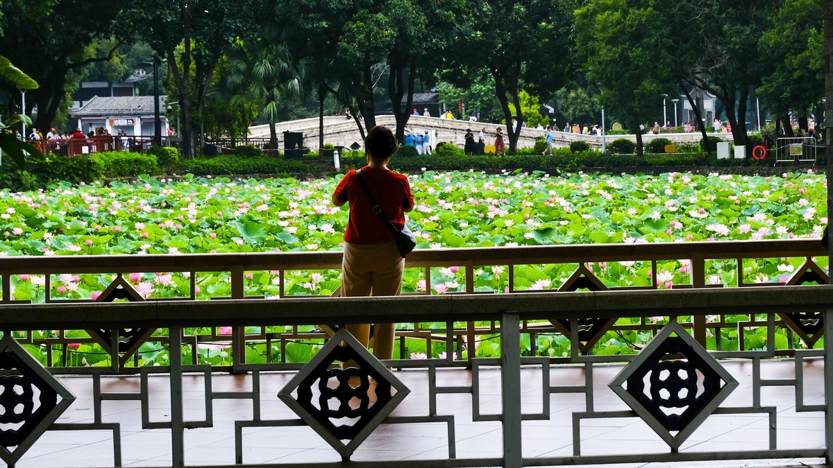 荔湾湖公园（三）