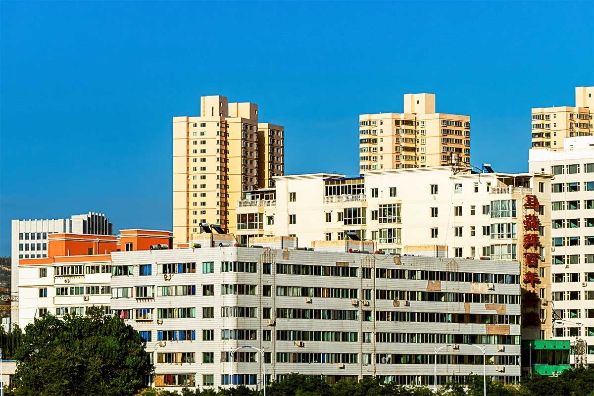 随                        拍