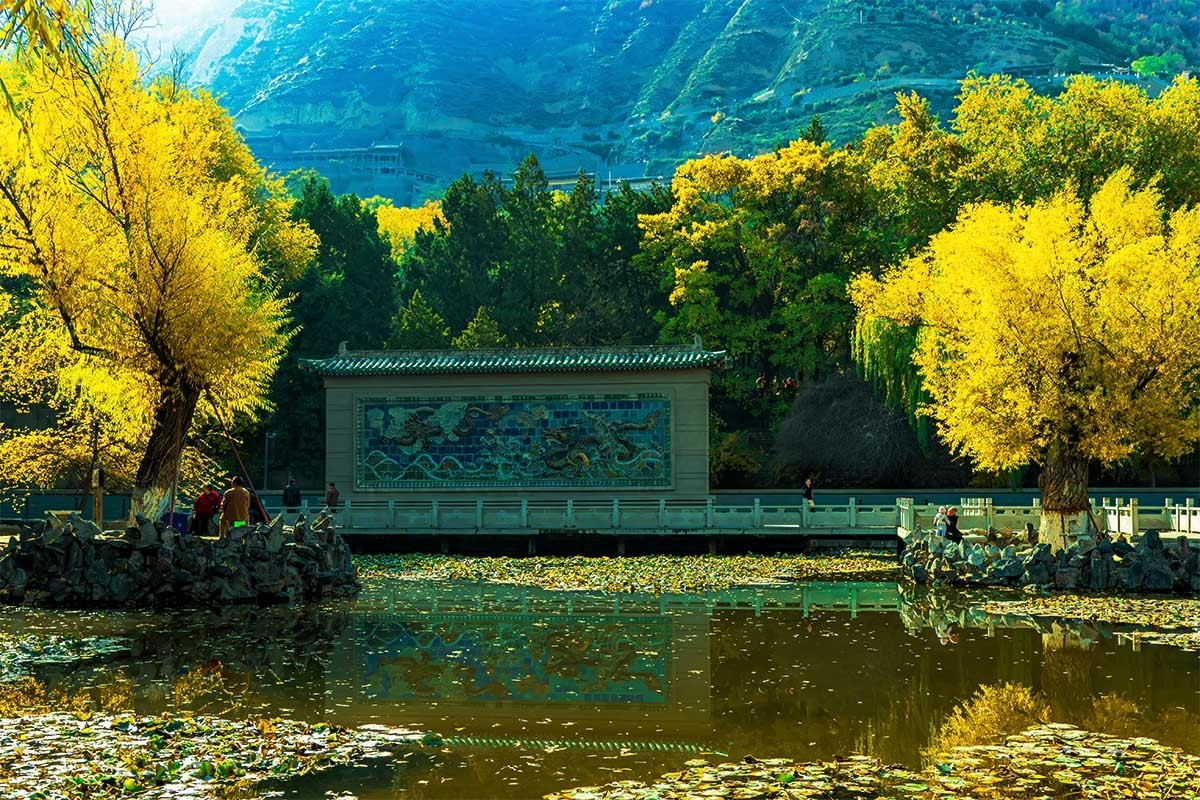 随                        拍