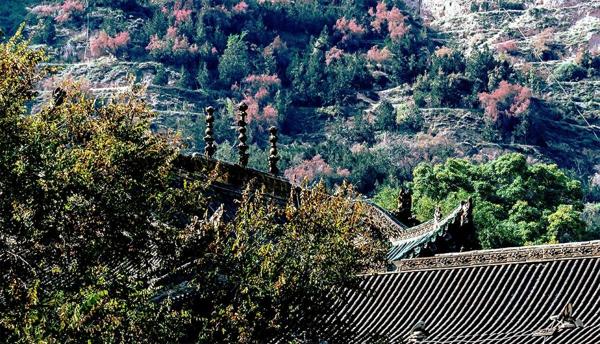 随                        拍