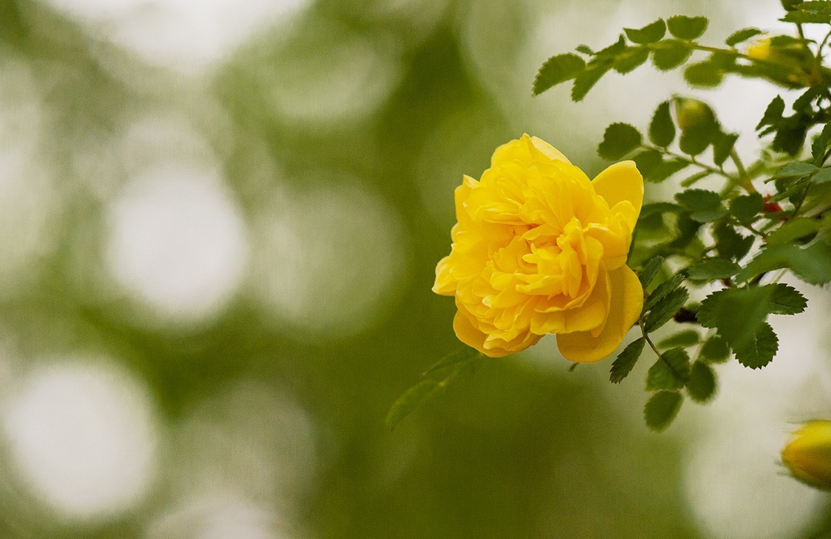一样的构图模式
