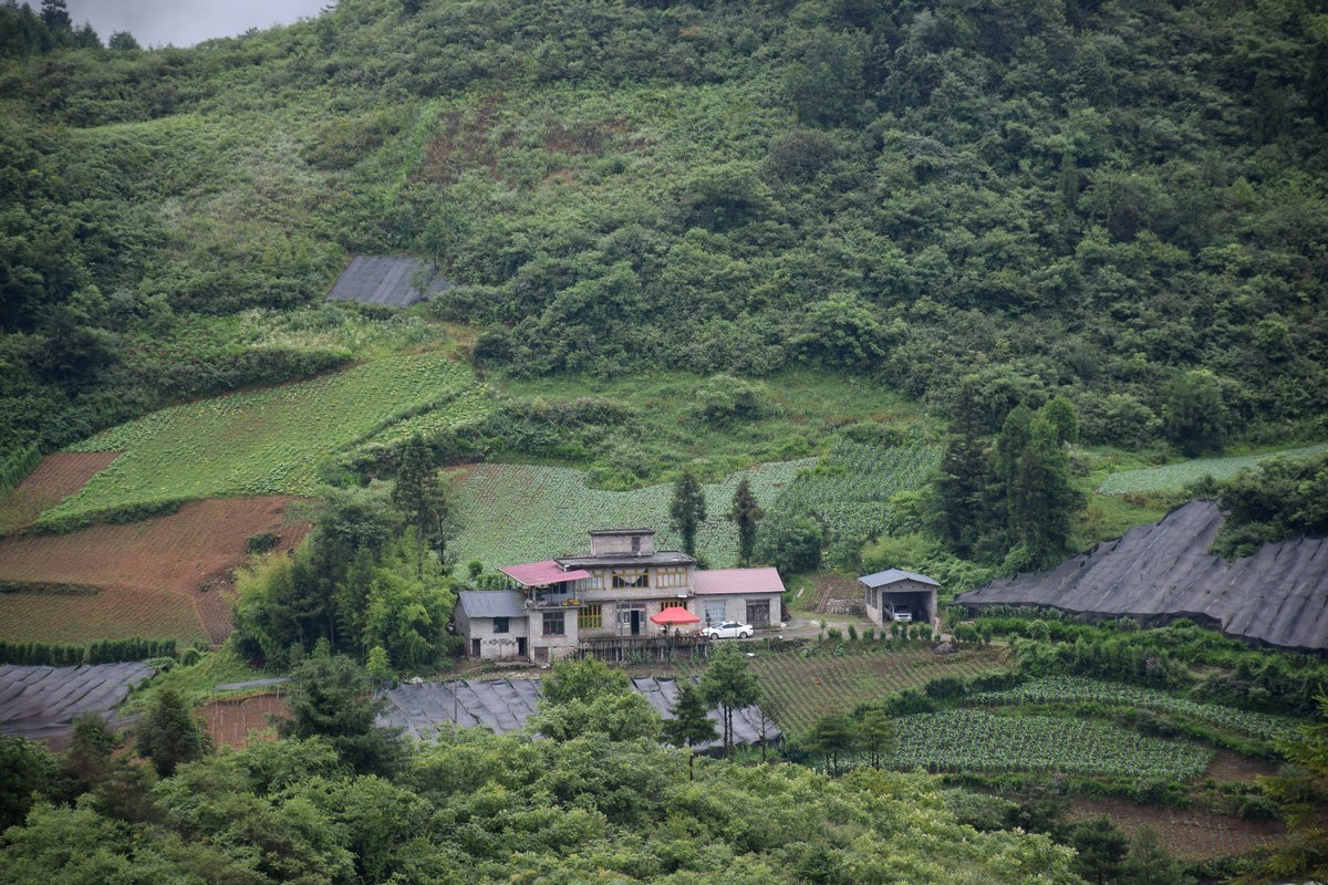 2023夏 黔赣鄂渝川（197）利川天上坪风电场