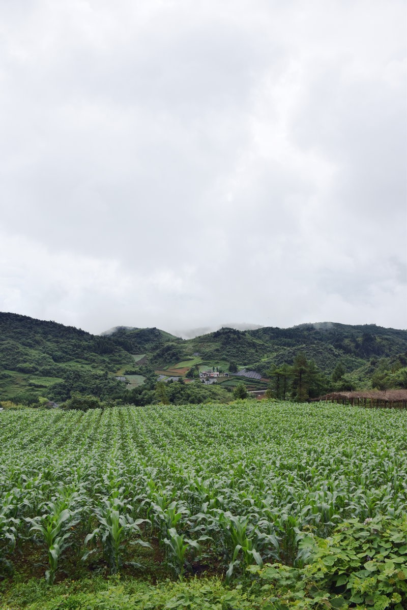 2023夏 黔赣鄂渝川（197）利川天上坪风电场