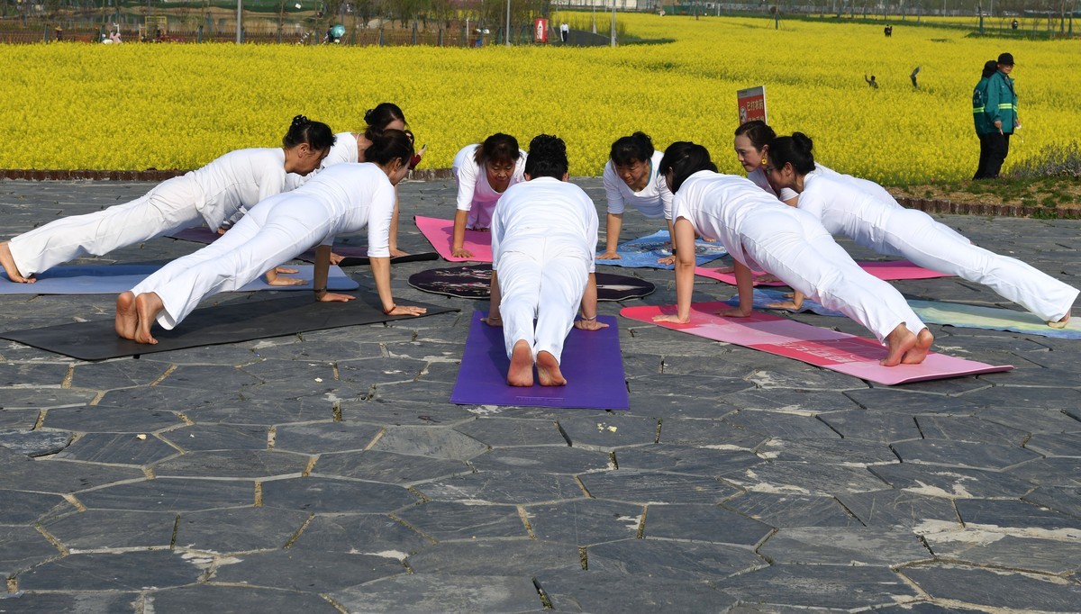 菜花田间练瑜伽功