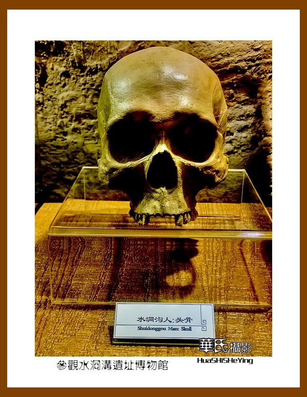 2023西行游记（宁夏046）—参观水洞沟遗址博物馆（银川灵武市）