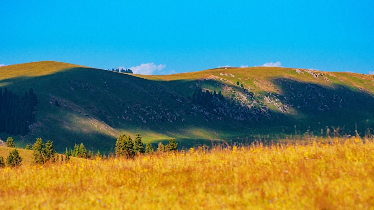 西行漫记一一去看那草原海