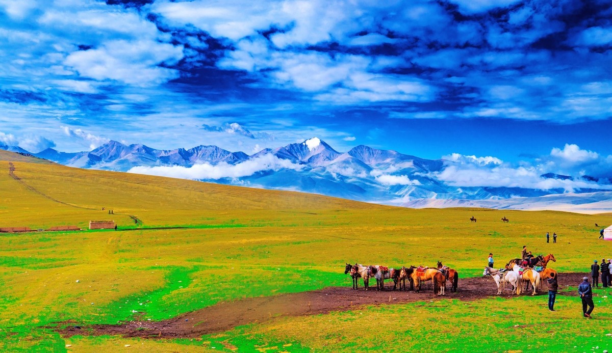 西行漫记一一去看那草原海